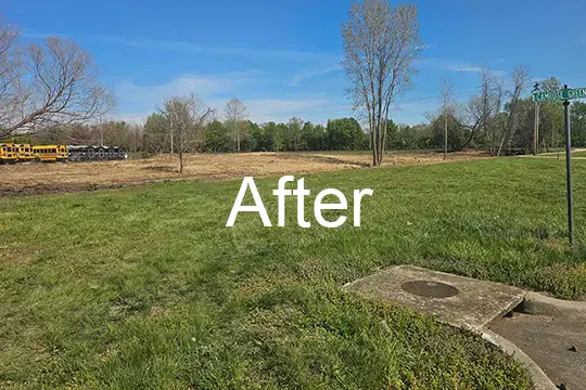 after forest mulch ofallon il